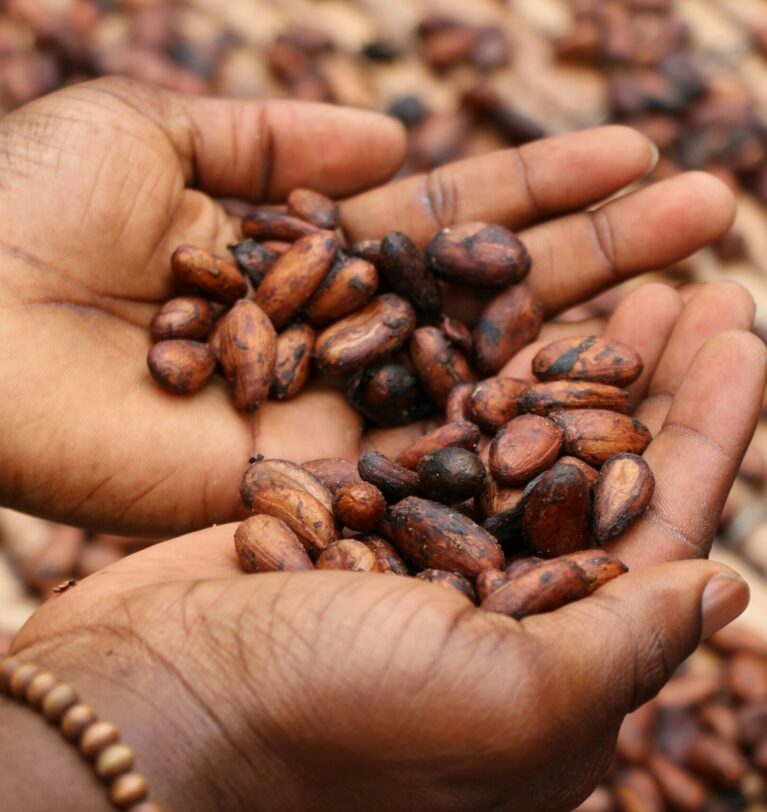 Cocoa Prices in 2026: 5 Key Drivers and a Practical Buying Plan