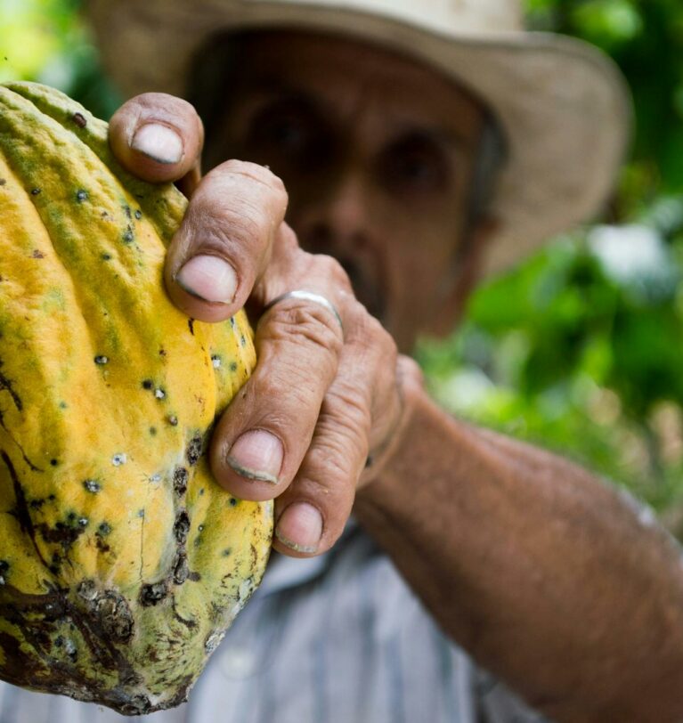 2026 Chocolate Outlook: A “Normalisation” Year That Still Feels Expensive